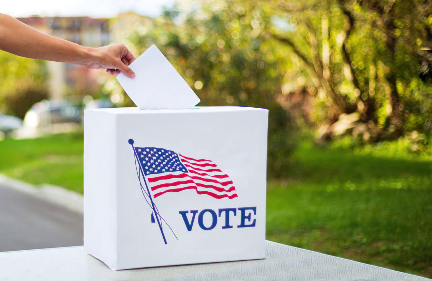 Voting and elections