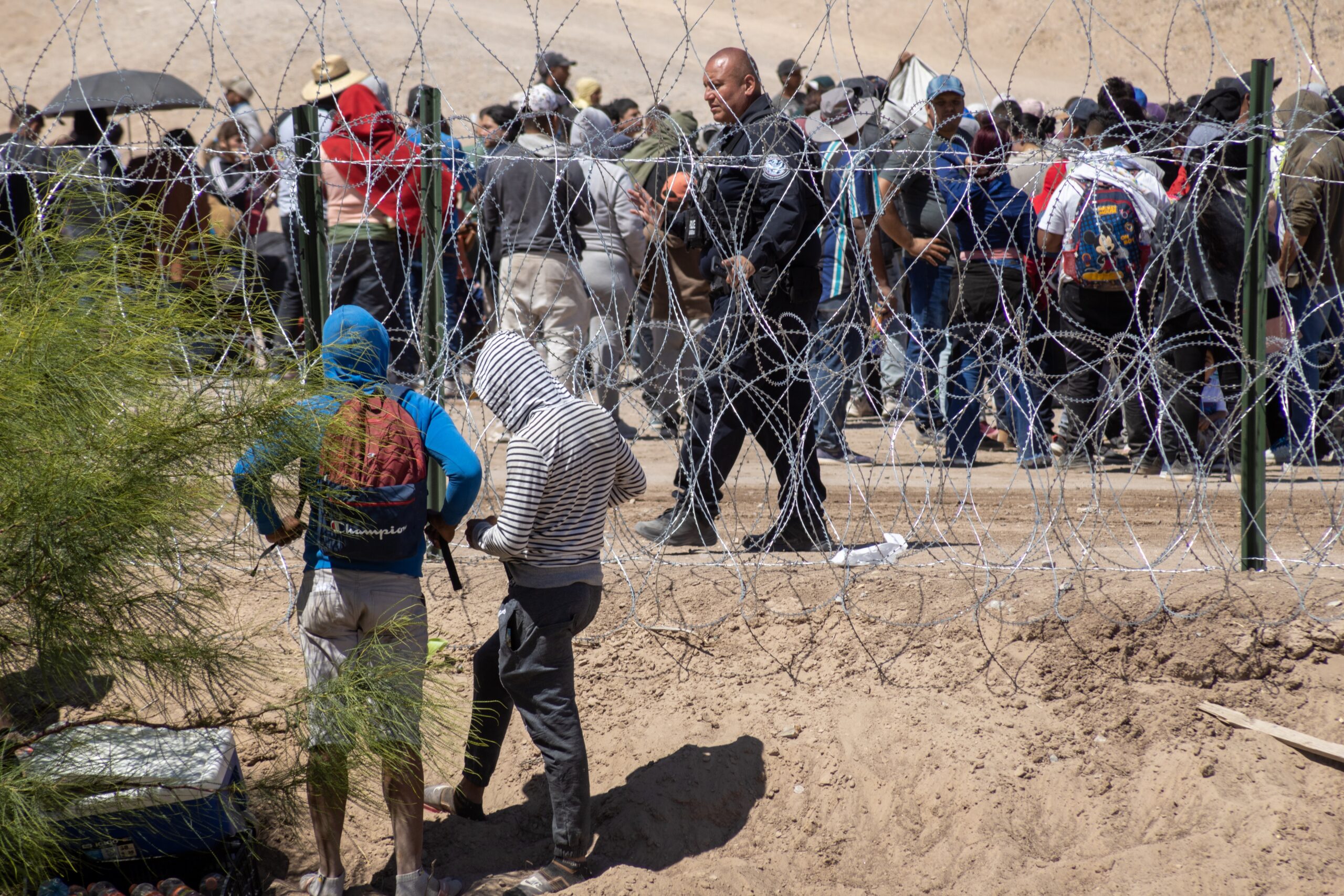 Primer: Denaturalization